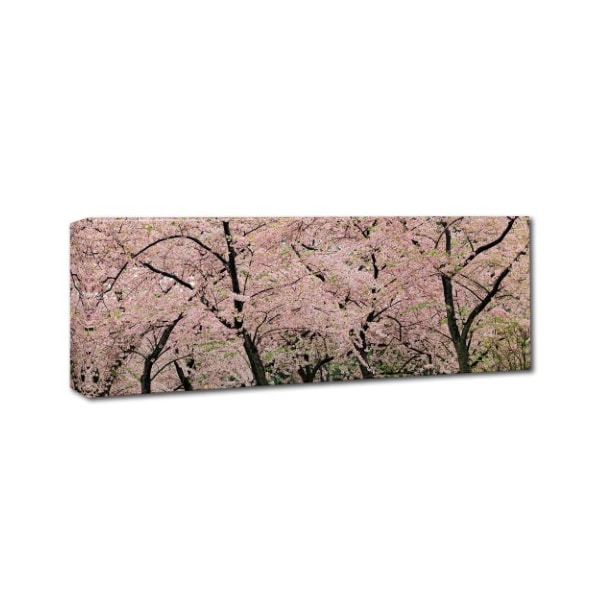 Gregory O'hanlon 'Spring Time Impressions' Canvas Art,8x24